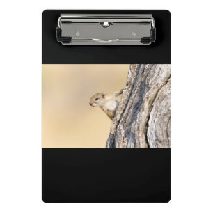 Tree squirrel mini clipboard