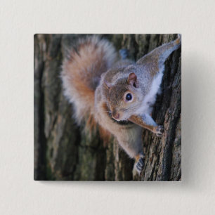 Tree Squirrel Pin