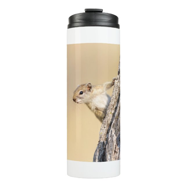 Tree squirrel thermal tumbler (Front)