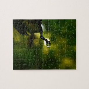 Tree stick with drop of water jigsaw puzzle