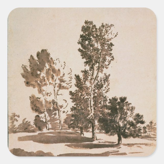 Tree Study (pen & ink on paper) Square Sticker (Front)