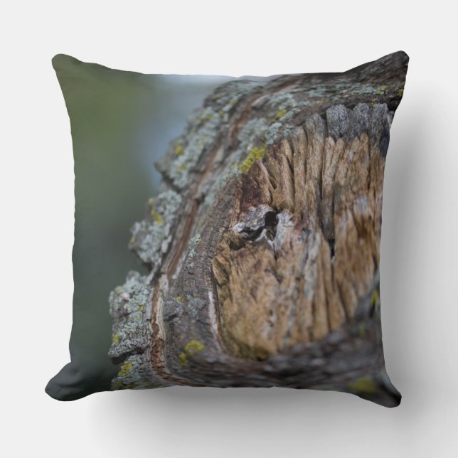 Tree Stump Photography Throw Pillow (Front)