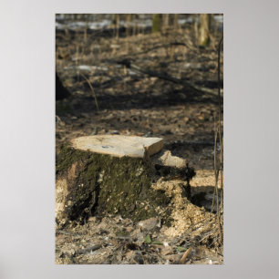 Tree stump poster