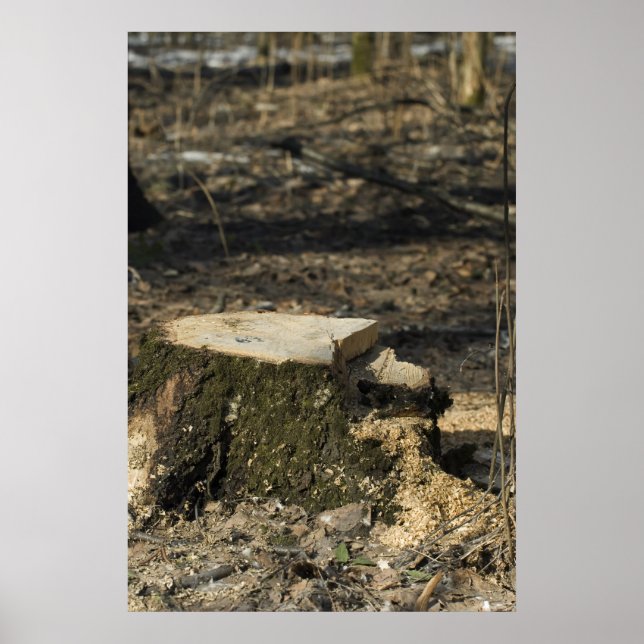 Tree stump poster (Front)