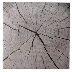 tree stump rustic background natural tile