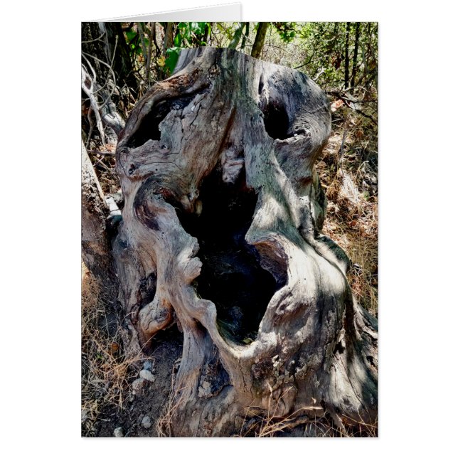 Tree Stump Skull (Front)