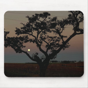 Tree Sunset Wall Nature Photography Mouse Pad