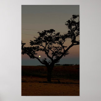 Tree Sunset Wall Nature Photography Rustic Home Poster