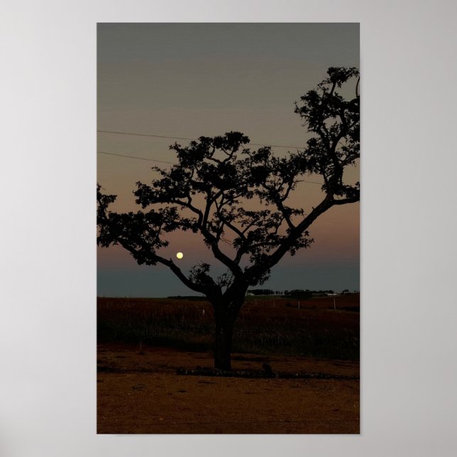 Tree Sunset Wall Nature Photography Rustic Home Poster (Front)