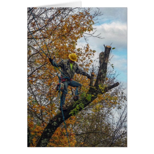 Tree Surgeon (Front)
