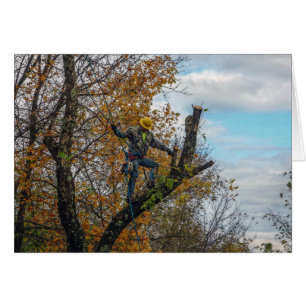Tree Surgeon