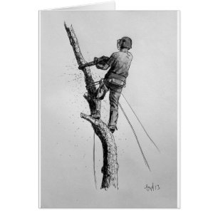 Tree Surgeon Arborist