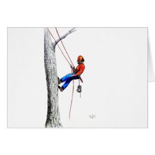 Tree Surgeon Arborist Forester