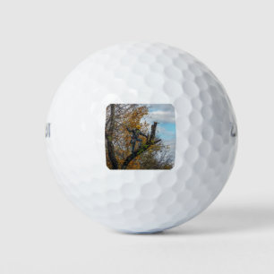 Tree Surgeon Golf Balls