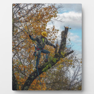 Tree Surgeon Plaque