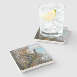 Tree Surgeon Stone Coaster