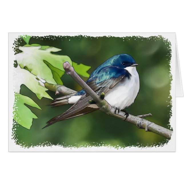 Tree Swallow - 5" x 7" Art Card (Front Horizontal)