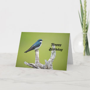 Tree Swallow Birthday Card