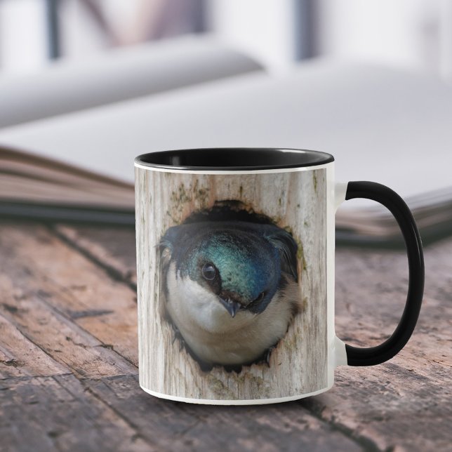 Tree Swallow in a Nestbox Mug (Tree Swallow Staring out from Nestbox 11 oz Coffee Mug Cover Photo.)