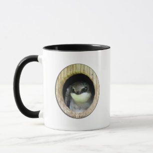 Tree Swallow Mug