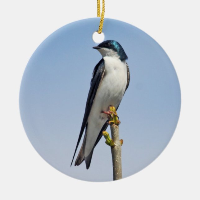 Tree Swallow Ornament (Front)