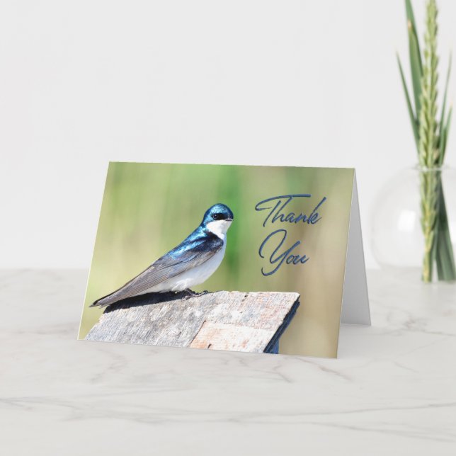 Tree Swallow Photo Thank You Card (Front)