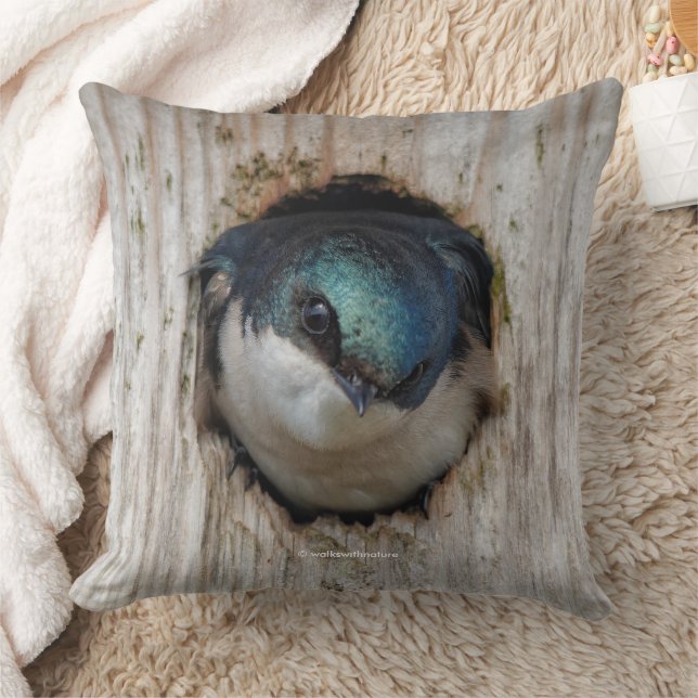 Tree Swallow Songbird in Nestbox Throw Pillow (Blanket)