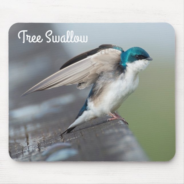 Tree Swallow Stretch Mouse Pad (Front)
