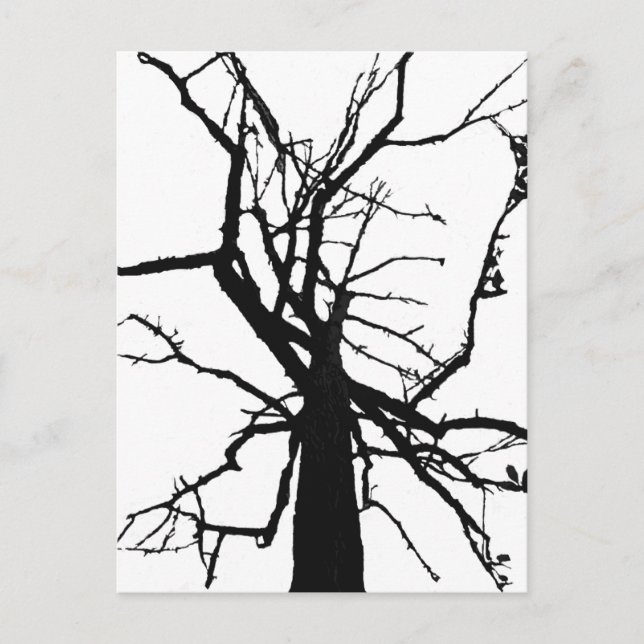 Tree Top Abstract Postcard (Front)