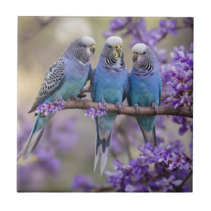 Tree Top Chatter: Blue Budgies In Jacaranda Tree, Tile