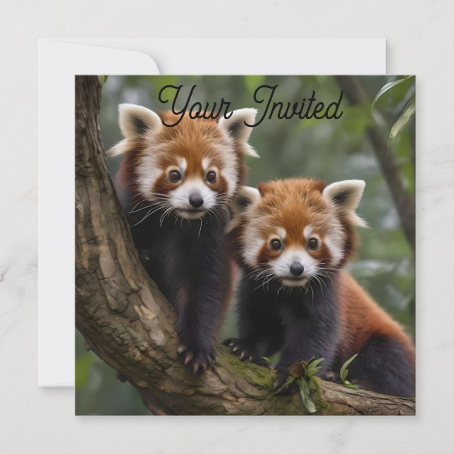 "Tree-top Explorers: Baby Red Pandas Looking Out Invitation (Front)