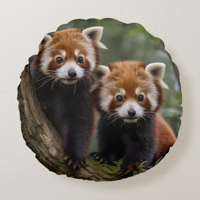 "Tree-top Explorers: Baby Red Pandas Looking Out Round Pillow (Front)