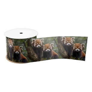 "Tree-top Explorers: Baby Red Pandas Looking Out Satin Ribbon