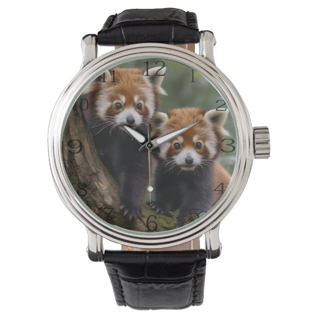 "Tree-top Explorers: Baby Red Pandas Looking Out Watch (Front)