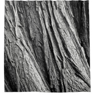Tree tree bark tribe wood