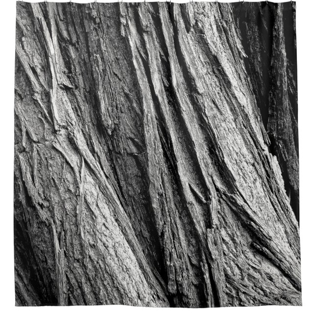 Tree tree bark tribe wood (Front)