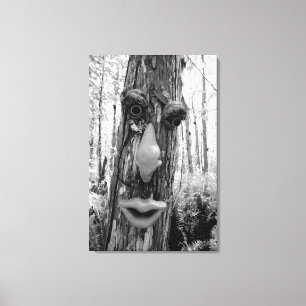 Tree troll on a Big Cypress tree. Canvas Print