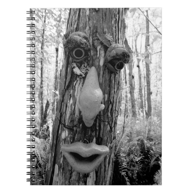 Tree troll on a Big Cypress tree. Notebook (Front)