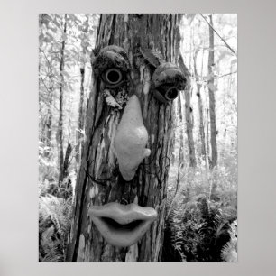 Tree troll on a Big Cypress tree. Poster