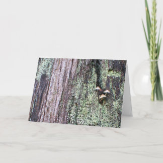 Tree Trunk 2 Card