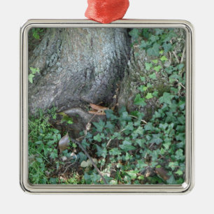 Tree trunk and ivy in forest metal ornament