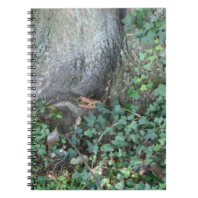 Tree trunk and ivy in forest notebook (Front)