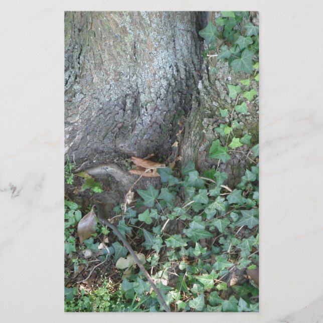 Tree trunk and ivy in forest stationery (Front)
