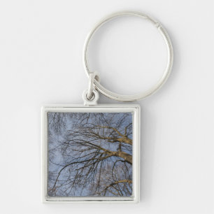Tree trunk design/pattern. Pioineer Park, WA Keychain
