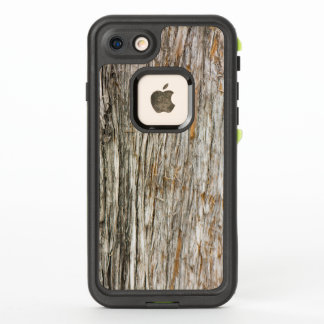 Tree trunk