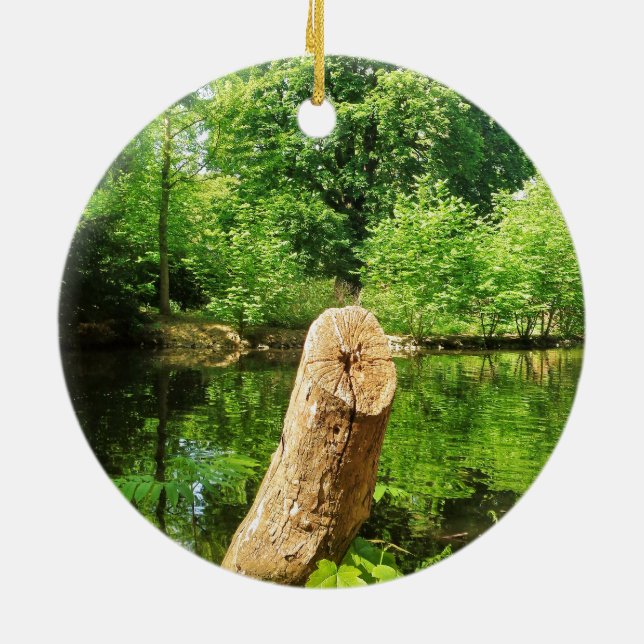 Tree Trunk Nature Photography Lake Park Ceramic Ornament (Back)