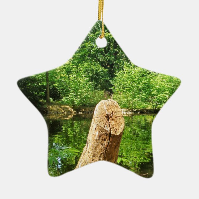 Tree Trunk Nature Photography Lake Park Ceramic Ornament (Back)
