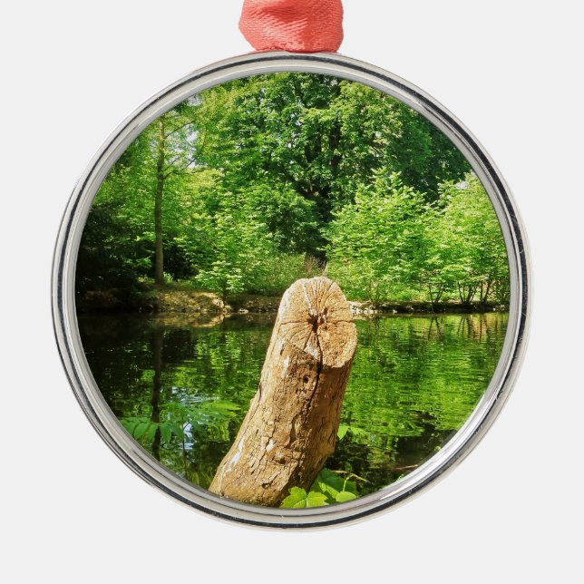 Tree Trunk Nature Photography Lake Park Metal Ornament (Front)