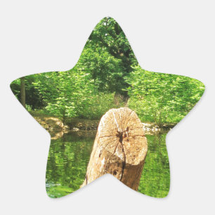 Tree Trunk Nature Photography Lake Park Star Sticker