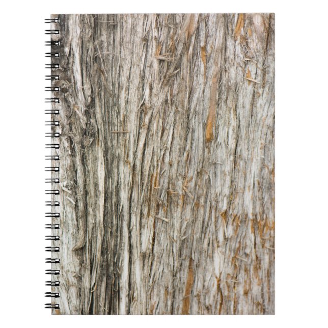 Tree trunk notebook (Front)